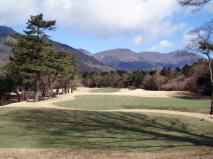 20090326