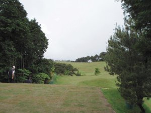 20080531
