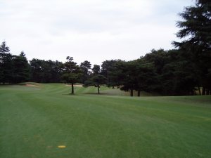 20081026