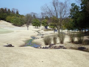 20090319