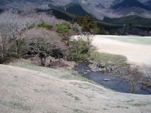20090326