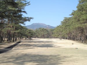 20090409