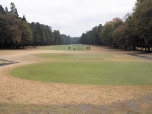 11月23日（祝）総武　東・中　１．０Ｒ　晴れ　6,367ｙ　東40　中46