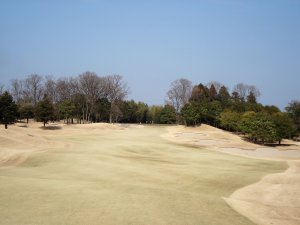 20090319