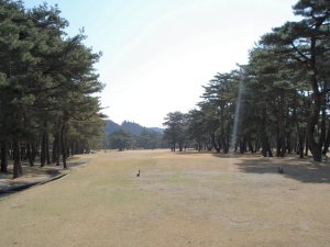 20090409