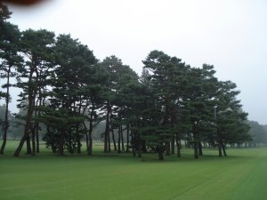 20081024