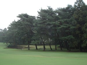 20081024