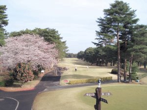 20090405
