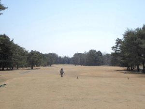 20090409