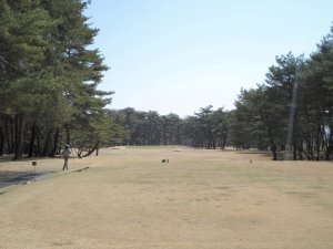 20090409