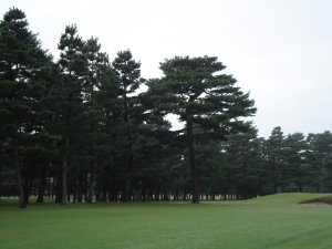 20081024