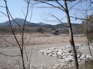 20090409