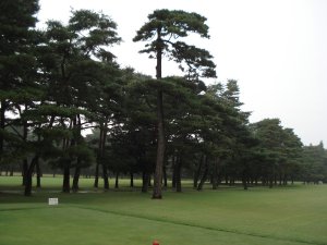20081024