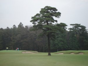 20081024