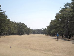 20090409