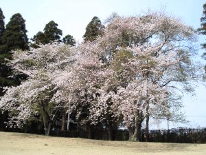 20090405