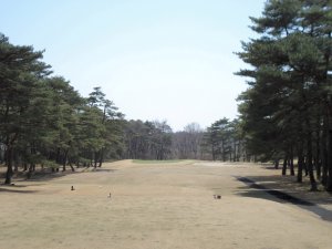 20090409
