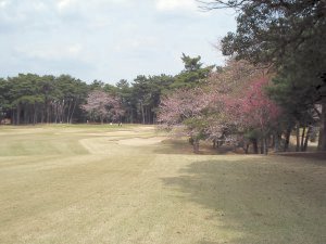 20090405