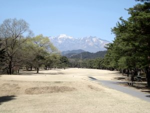 20090409