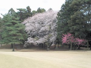 20090405