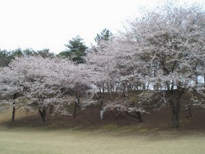 20090405