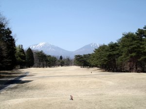 20090409
