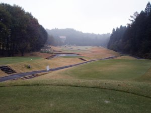 20091108
