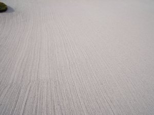 20091109