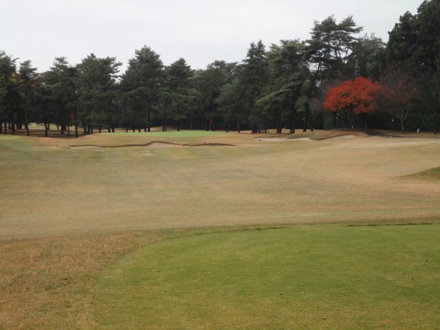 11月23日（祝）江戸崎　東　１．５Ｒ　雨のち曇り　6,505ｙ　アウト41　イン42　イン45