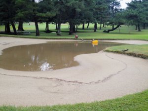 10月31日（日）中山　１．５Ｒ　雨のり曇り　6,695ｙ　アウト39　イン46　アウト40