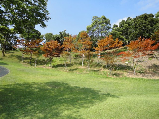 8月20日（金）上総モナーク　１．０Ｒ　晴れ　6,800ｙ　アウト48　イン45