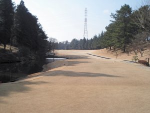 20100130