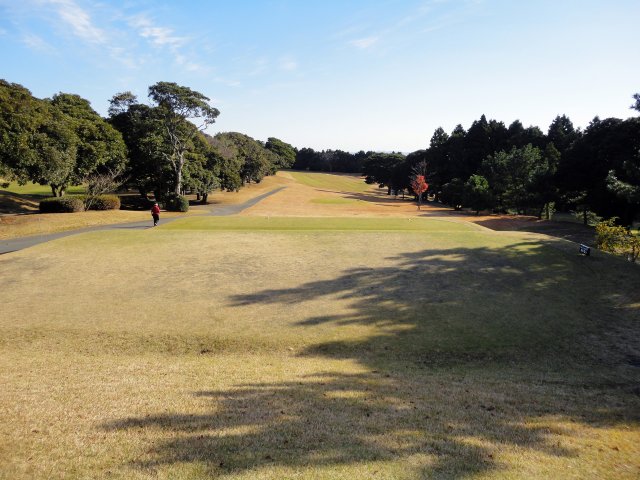 11月24日（水）鹿野山　白鳥・天神　１．０Ｒ　晴れ　6,056ｙ　白鳥44　天神43