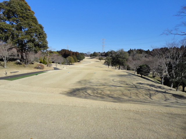 1月 7日（土）成田ハイツリー　１．０Ｒ　晴れ　7,024ｙ　イン42　アウト43